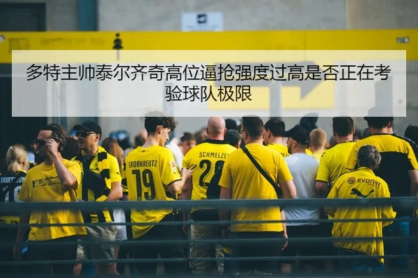 多特主帅泰尔齐奇高位逼抢强度过高是否正在考验球队极限